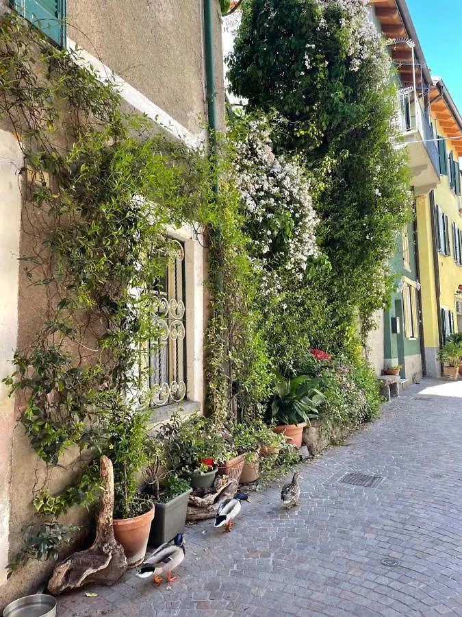 מנדלו דל לאריו La Casa Nei Vicoli: In Centro A Due Passi Dal Lago דירה מנדלו דל לאריו